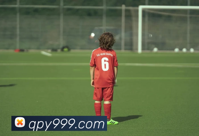 棋牌游官网平台生态图