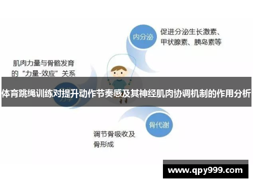 体育跳绳训练对提升动作节奏感及其神经肌肉协调机制的作用分析